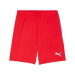 PUMA Trainingsshorts TEAMGOAL Rot