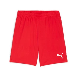 Trainingsshorts TEAMGOAL SHORTS