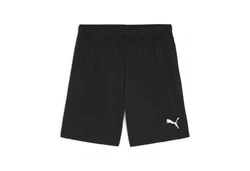 PUMA Trainingsshorts TEAMGOAL Schwarz/Dunkelgrau
