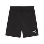 PUMA Trainingsshorts TEAMGOAL Schwarz/Dunkelgrau