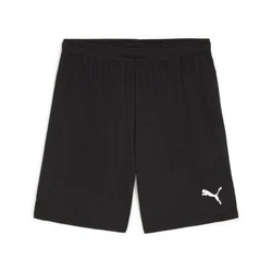 PUMA Trainingsshorts TEAMGOAL Schwarz/Dunkelgrau