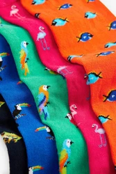 Next Kurzsocken (5-Paar) 