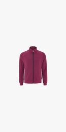 SCHNEIDER Sportswear Winterjacke HOLMESM-JACKE DARKRUBY