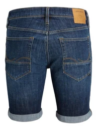 Funktionsshorts JJIRICK JJFOX SHORTS GE 237 SN