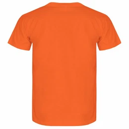 Print-Shirt Herren T-Shirt Da regt mich schon die Frage auf Funshirt mit Motiv