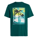 O'Neill T-Shirt mit großem Print Neon