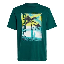 O'Neill T-Shirt mit großem Print Neon