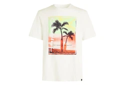 O'Neill T-Shirt mit großem Print Neon