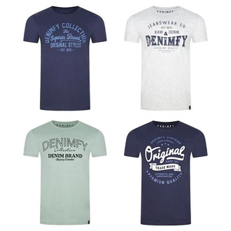 DENIMFY T-Shirt Herren Printshirt DFNuri Regular Fit