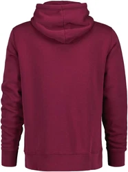 Gant Hoodie GRAPHIC HOODIE Dunkelrot/Bordeaux/Rosa/Lila