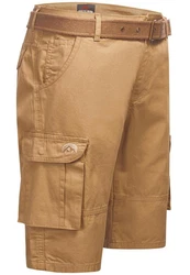 Arctic Seven Shorts ASKiriil Khaki/Braun/Beige