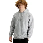 KIGILI Herren Kapuzen-Sweatshirt Regular Fit ei