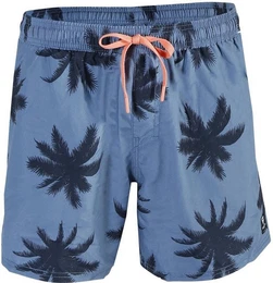 Badeshorts TEUNS S MENS SHORTS STORM BLUE