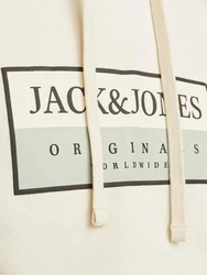 Jack & Jones Hoodie JOR Frederiksberg pastellgrün/schwarz/wollweiß