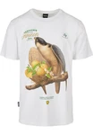 CAYLER & SONS C&S Faucon Tee Gelb/Orange