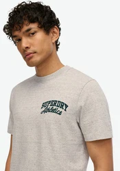 Superdry T-Shirt Embroider Superstate Logo Tee Khaki/Grau/Hellgrau/Beige