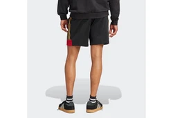 adidas Sportswear Shorts TIRO NTPK SHO Schwarz/Grau