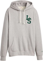 Levi's Hoodie STANDARD GRAPHIC HOODIE