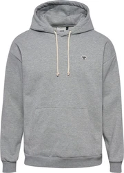 hummel Hoodie hmlREGULAR HOODIE BEE Grau Melange