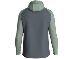 Jako Kapuzensweatshirt Kapuzenjacke Iconic anthra light/mintgrün/soft grün