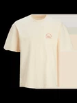 Jack & Jones JORBROOKLYN BACK TEE SS CREW NECK 