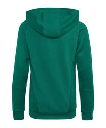 adidas Performance Sweatshirt Tiro 23 Competition Hoody 