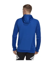 adidas Performance Sweatshirt Tiro 23 Competition Hoody 