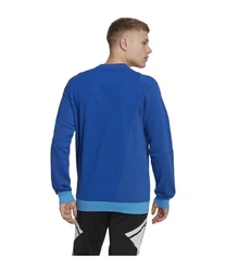adidas Performance Sweatshirt Tiro 23 Competition 