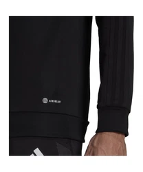 adidas Performance Sweatshirt Tiro 23 Competition Hoody Schwarz