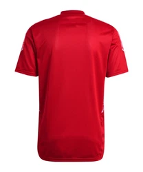 adidas Performance T-Shirt Condivo 21 Trainingsshirt Rot/Dunkelrot