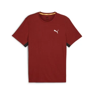 PUMA Laufshirt RUN FAVORITE VELOCITY T-SHIRT Herren Dunkelrot/Rot PUMA Laufshirt RUN FAVORITE VELOCITY T-SHIRT Herren Dunkelrot/Rot
