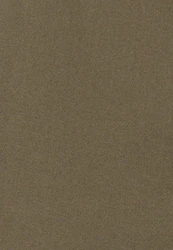Seidensticker Chinoshorts Schwarze Rose Schwarz