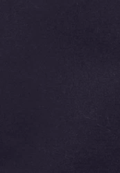 Seidensticker Chinoshorts Schwarze Rose Schwarz