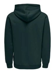ONLY & SONS Sweatshirt Hoodie ONSCERES (5425) Grün (5425)