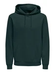 ONLY & SONS Sweatshirt Hoodie ONSCERES (5425) Grün (5425)