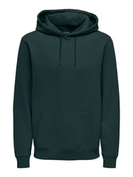 ONLY & SONS Sweatshirt Hoodie ONSCERES (5425) Grün (5425)