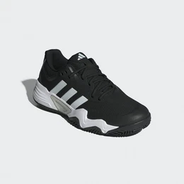 SOLEMATCH CONTROL 2 CLAY Tennisschuh