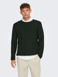 ONLY & SONS Rundhalspullover ONSEric (1-tlg) 