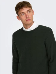 ONLY & SONS Rundhalspullover ONSEric (1-tlg) 