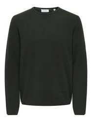 ONLY & SONS Rundhalspullover ONSEric (1-tlg) 