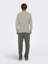 ONLY & SONS Rundhalspullover ONSEric (1-tlg) beige