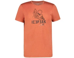 Print-Shirt BEARDEN