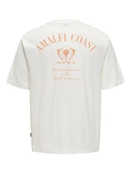 ONLY & SONS T-Shirt 2er-Set Kurzarm locker geschnitten Rundhals (7732) Orange/Blau (7732)