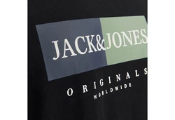 Jack & Jones Print-Shirt Jorfrederiksberg Box T-Shirt saphir/pastellgrün/schwarz/weiß