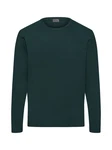Hanro Longsleeve Living Shirts Dunkelgrün/Grün