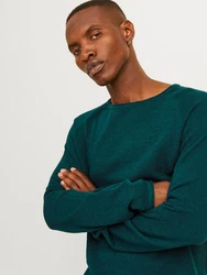 Jack & Jones Rundhalspullover JJEHILL KNIT CREW NECK NOOS 