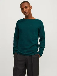 Jack & Jones Rundhalspullover JJEHILL KNIT CREW NECK NOOS 