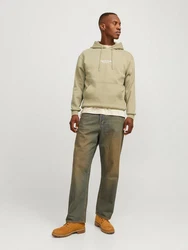 JACK & JONES Sweatshirt Hoodie JORVesterbro greige/wei
