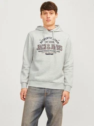 Jack & Jones Kapuzensweatshirt JJELOGO SWEAT HOOD 2 Khaki/Neonfarben/Grau/Dunkelgrün