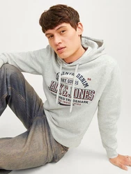 Jack & Jones Kapuzensweatshirt JJELOGO SWEAT HOOD 2 Khaki/Neonfarben/Grau/Dunkelgrün